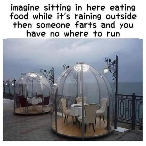 FB_IMG_1756483504808