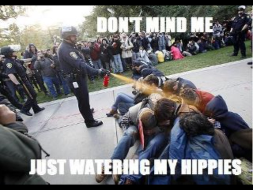 watering my hippies