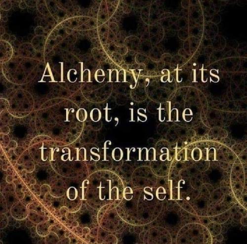 1be2e2f6e5de4d5a9533ef43574b1014