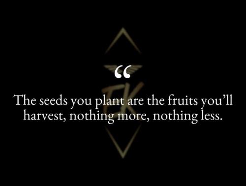 525958424_1062507516073995_7935590283843890051_n