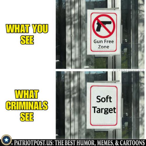 01K1KFHAZH3C19TBFE4TM89QNK