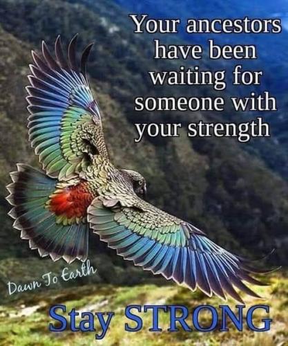 515370854_766971449552383_3065797048134886717_n