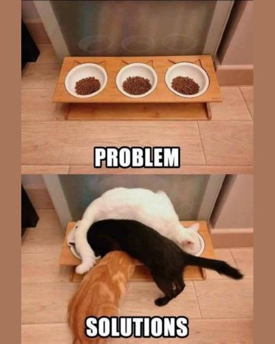 503615641_1505402894056030_8692350508326462859_n