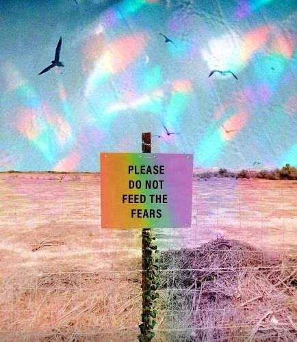 6a8431b319a54145aea8d3cdc15a1b31