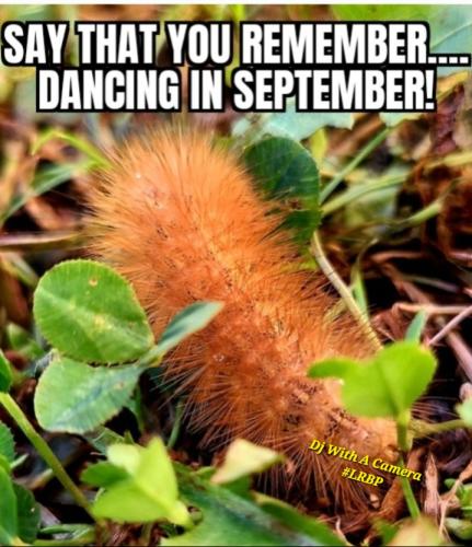 Screenshot_20250901_065728_Gallery