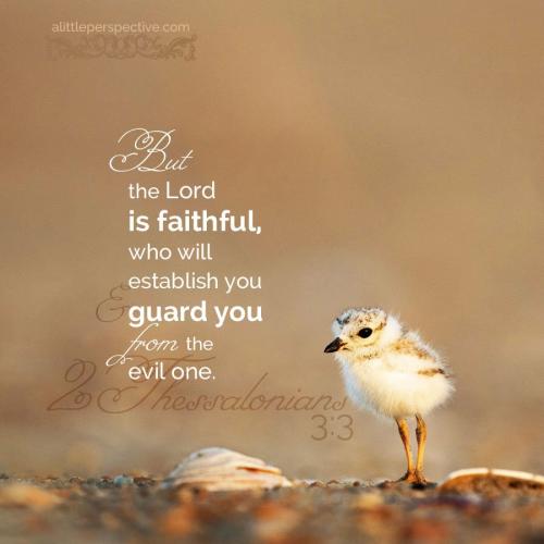 2-the-3-3-w-unsplash-9x