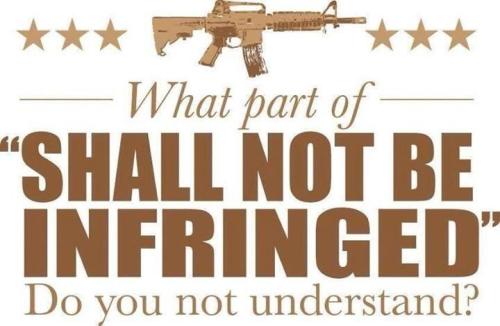 2nd_Amendment_Shall_Not_gun