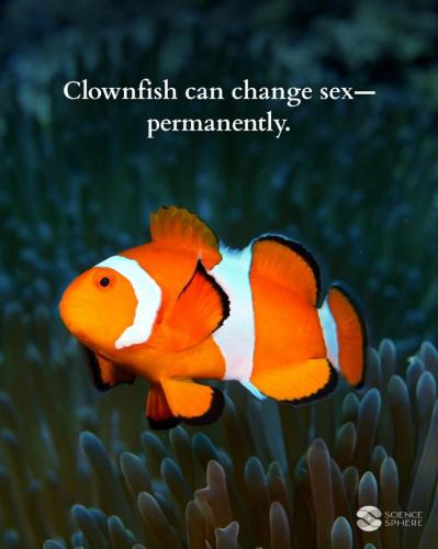 a6b9080f-fac9-491f-b9df-d886f1823129