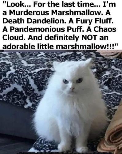 425f4494a861d6992babc6f05411fb4e