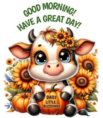 550188769_1354789576649860_8433966253646098589_n