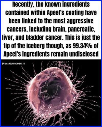 540683495_1083934387251348_6655992586784067028_n