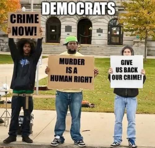 539423036_1317358323296039_8309867979934585226_n