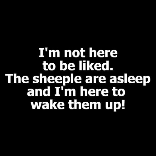 I'm not here to be liked.768px