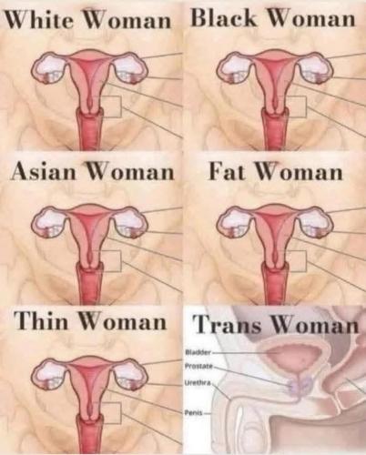 0c527147-422e-4cc9-8b2d-6462366f4425