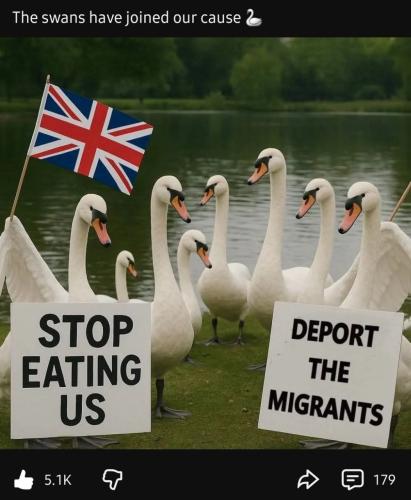 IMG_20250926_151414_254