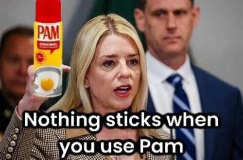 nothing-sticks-with-pam
