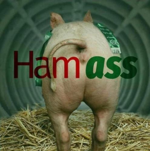 hamas01
