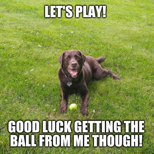 b15faafd20f94c0a8b72fb24c8001afb