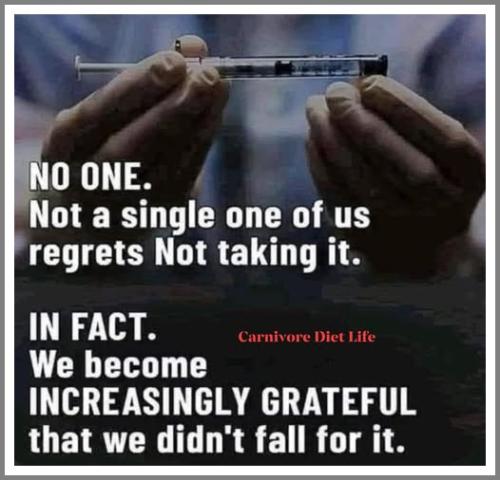 542758511_785980524369498_193328235022739690_n