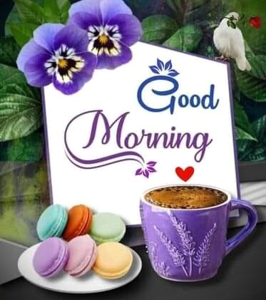 090925 - Dove, purple cup