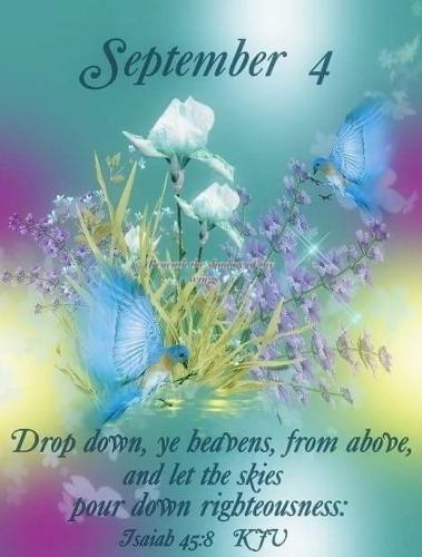 541927802_18023096651743683_7483372169169000712_n