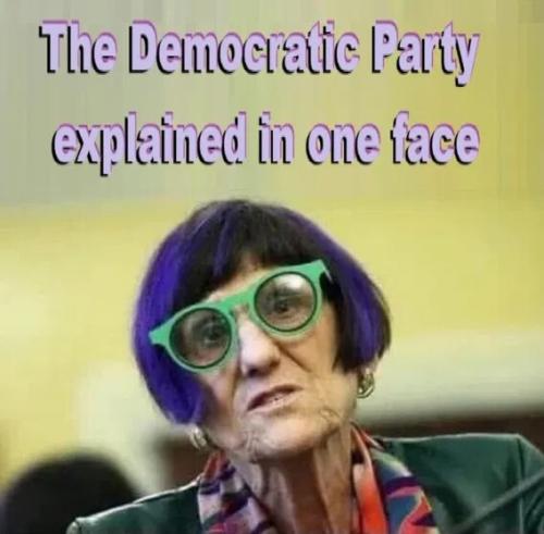 democrat-party-in-one-face