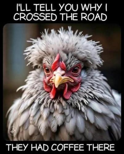 549189956_1196541405847785_8799267257989741697_n