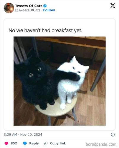 2107649762a0193fe91fce0ae81d4c52