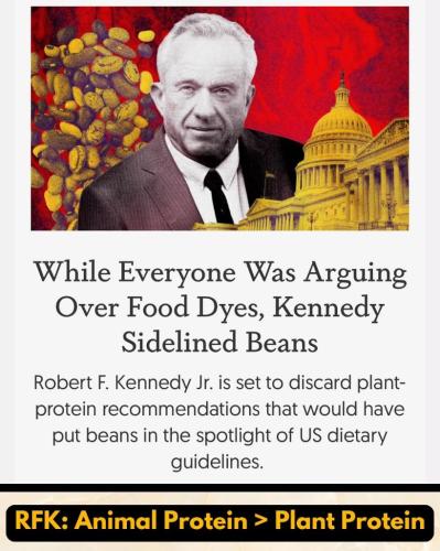 832ec95a-36f0-4c99-9543-733b4b5a5850