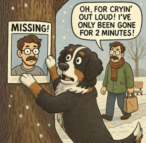 IMG_20250915_222528_789