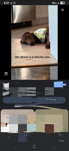 Screenshot_20250919_202708_Google