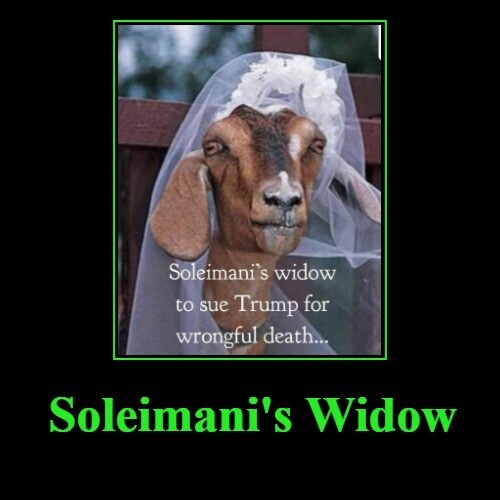 Solomeany's Widow to sue Trump for wrongful death
