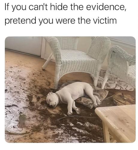 IMG_20250901_143920_716