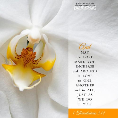 1-the-3-12-NKJV-unsplash