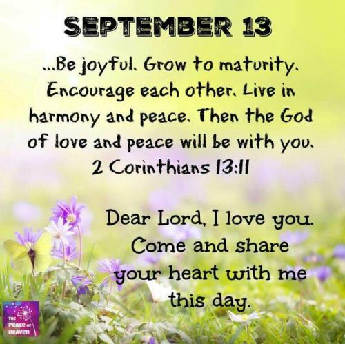 000eee 515493868_24587159730946676_2791334733756743902_n