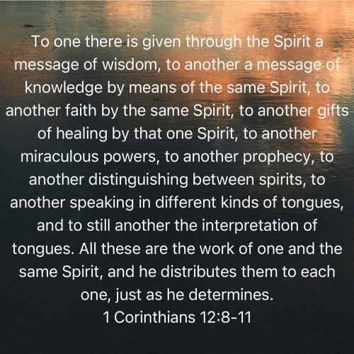 4d1b9776-d652-48ca-81c6-e91cb7620346