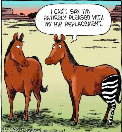 Screenshot_20250913_145229_Gallery