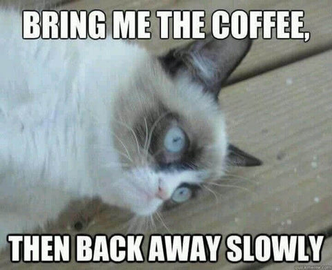 Coffee_Memes_2_480x480