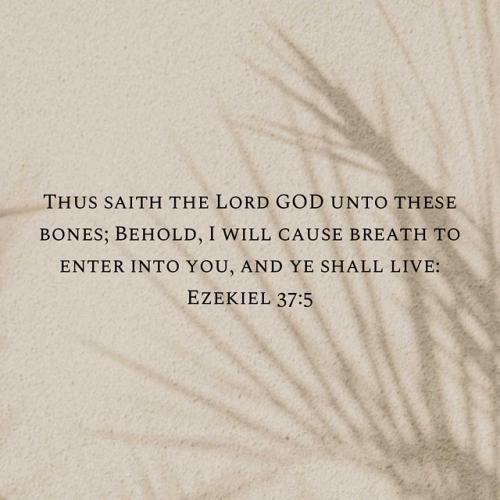 15034372-637E-477E-93A6-0FCCB875DF69