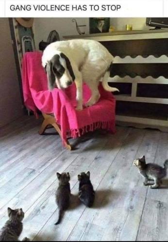 IMG_20250923_101650_759