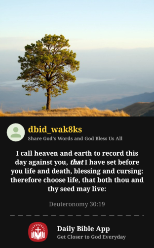 2025-09-171758159527893