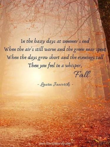 545432562_10163246445284717_7691611034088553642_n