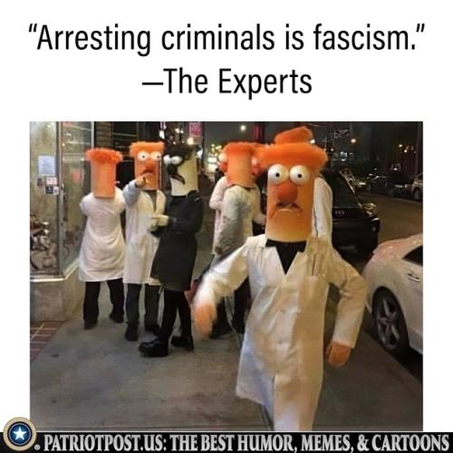 01K460141NTDP20RR1TAHN045T