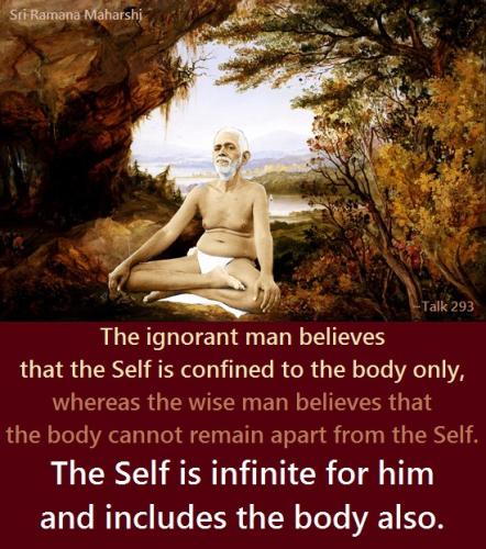 ,          ,  0424775766_746362