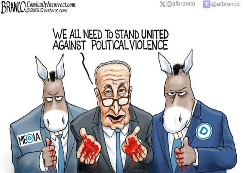 Branco_political_violence_dem_democrats_media_schumer