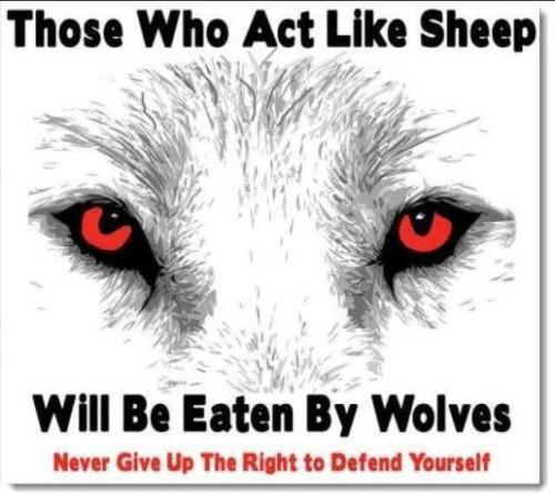 act_like_sheep_get_eaten_2nd_amendment