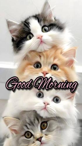 8a0f6222fd22fa8c3532bf7536957f91