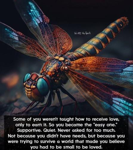 IMG_20250917_134625_158