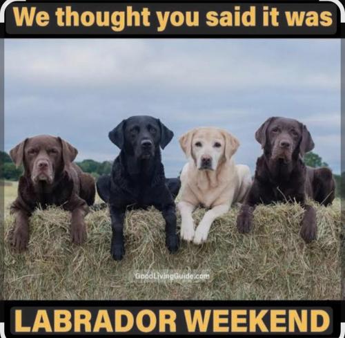 5d35a819-2de2-4780-8d02-df719942c70e