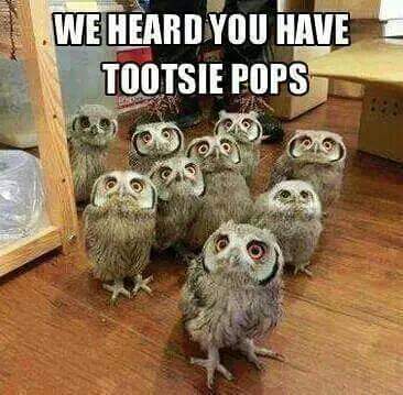 tootsie_pops_funny